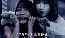 恐怖视频热点爆料下载,惊悚瞬间背后的真相与下载攻略